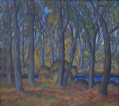 Landschap door Gregor Perusek